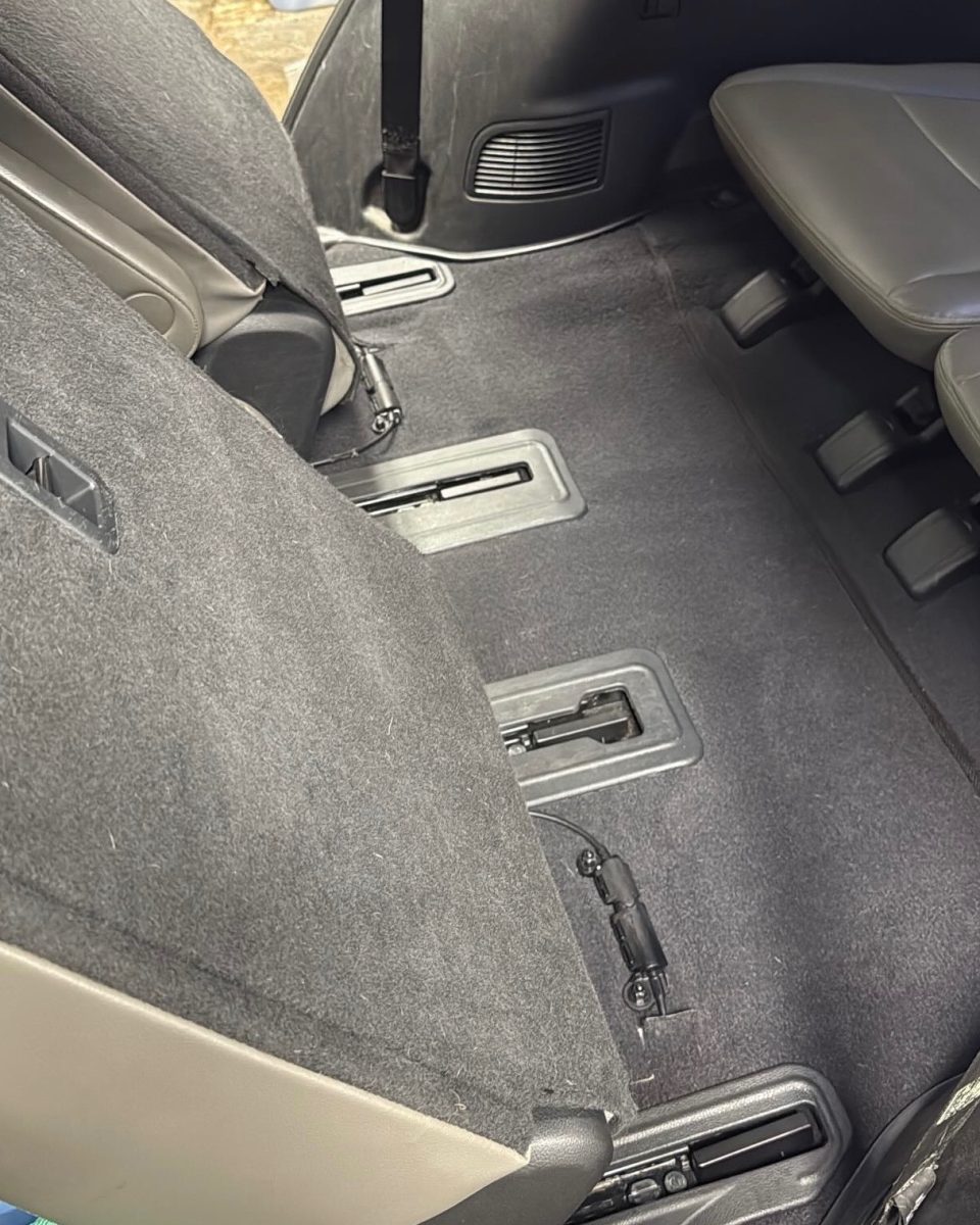 Clean carpet and floor after extraction and pet hair removal
