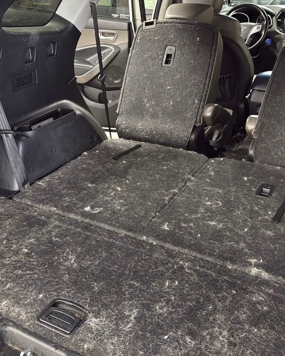 SUV cargo area and folded third-row seats covered in embedded dog hair before detailing