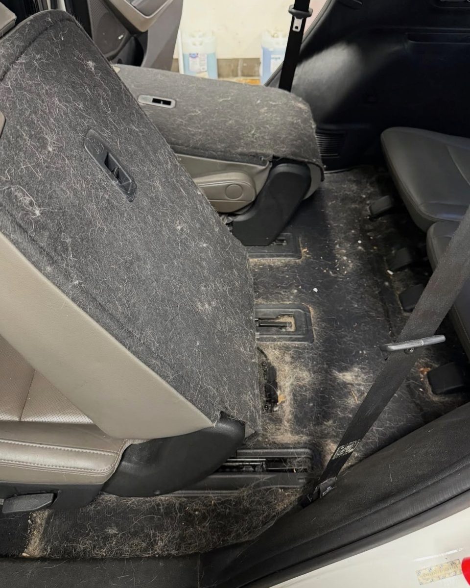 Car floor covered in embedded dog hair before removal